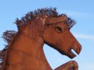 PICTURES/Borrega Springs Sculptures - Horses, Sheep & Camel/t_IMG_8904.JPG